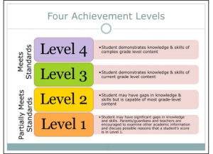 AMP Achievement Levels